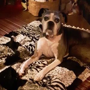 Meet your Posher, Donna